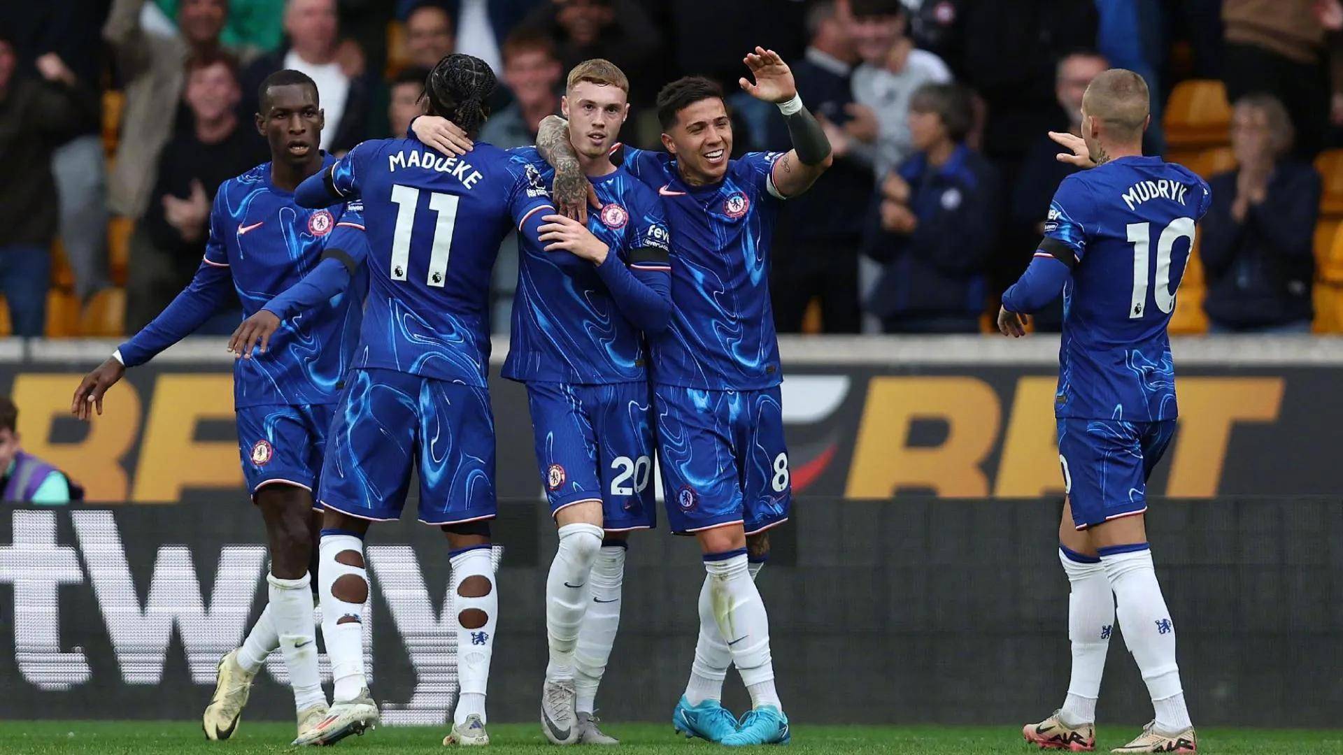 依赖明星球 依赖明星球