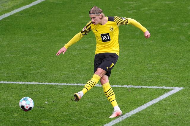 中国男单将 中国男单将